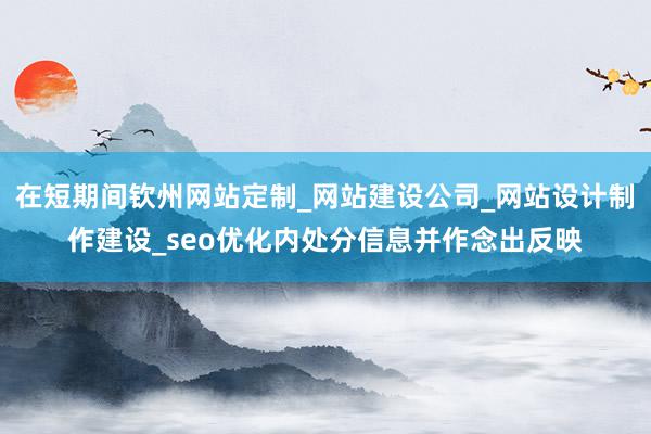 在短期间钦州网站定制_网站建设公司_网站设计制作建设_seo优化内处分信息并作念出反映