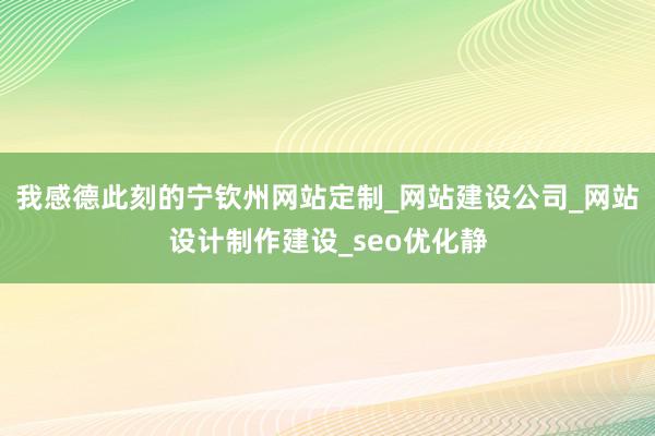 我感德此刻的宁钦州网站定制_网站建设公司_网站设计制作建设_seo优化静