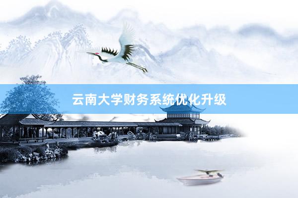 云南大学财务系统优化升级